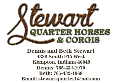 Stewart Quarter Horses and Corgis.
