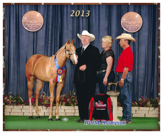 Stewart Quarter Horse Show Barn
